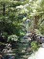 DSCN5555 (web)